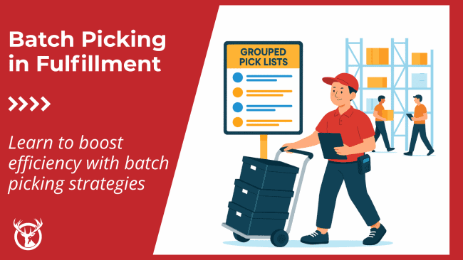 Batch picking guide: definition, process, and best practices