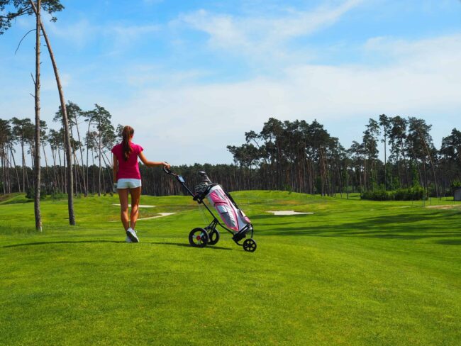 golf clubs