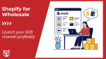 How to open a Shopify wholesale store