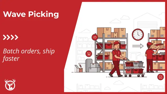 Wave picking explained: strategies, benefits, and best practices