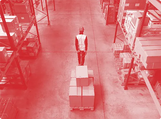 Overcome Hurdles with Our Pallet Warehouses